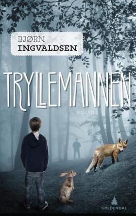 Tryllemannen (ebok) av Bjørn Ingvaldsen