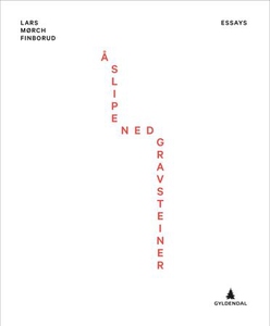Å slipe ned gravsteiner (ebok) av Lars Mørch