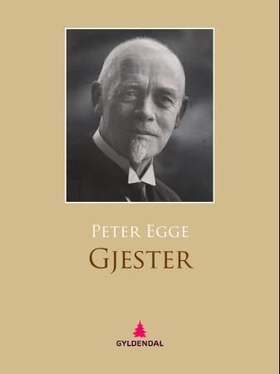 Gjester - roman (ebok) av Peter Egge