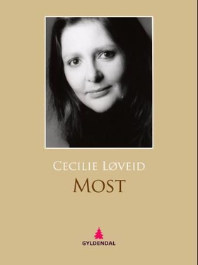 Most - roman (ebok) av Cecilie Løveid