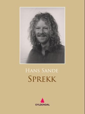 Sprekk - roman (ebok) av Hans Sande