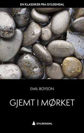 Gjemt i mørket - vers (ebok) av Emil Boyson