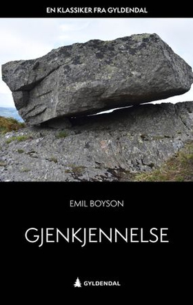 Gjenkjennelse (ebok) av Emil Boyson