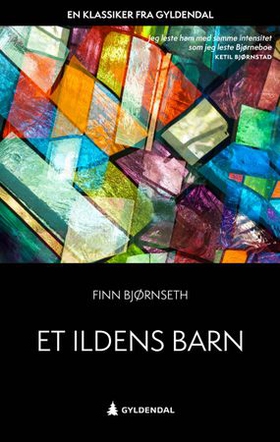 Et ildens barn - roman (ebok) av Finn Bjørnseth