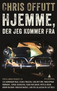 Hjemme, der jeg kommer fra (ebok) av Chris Of