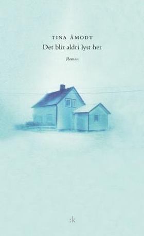 Det blir aldri lyst her - roman (ebok) av Tina Åmodt
