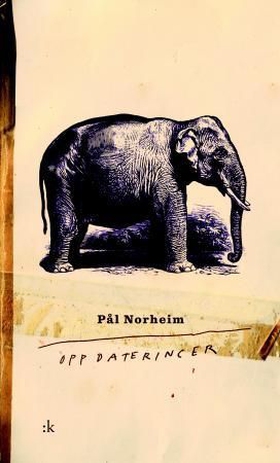 Oppdateringer - (16. april 2012 - 26. april 2014) - prosa (ebok) av Pål Norheim