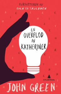 En overflod av Katheriner (ebok) av John Gree
