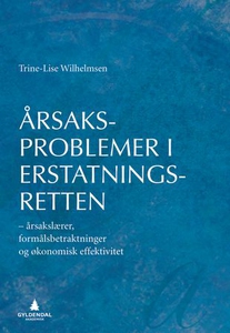 Årsaksproblemer i erstatningsretten (ebok) av