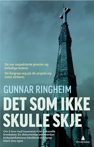 Det som ikke skulle skje (ebok) av Gunnar Rin