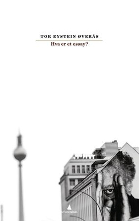 Hva er et essay? (ebok) av Tor Eystein Øverås