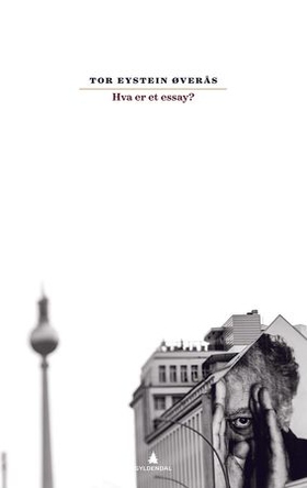 Hva er et essay? (ebok) av Tor Eystein Øverås