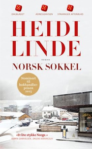 Norsk sokkel (ebok) av Heidi Linde