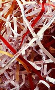 Håpet og festen (ebok) av Kjersti Rorgemoen
