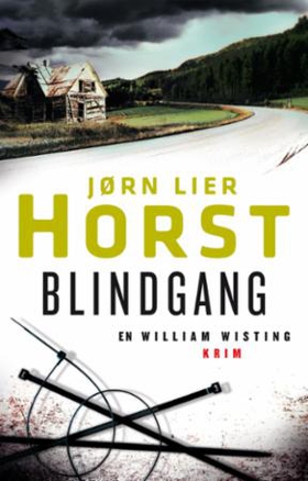 Blindgang (ebok) av Jørn Lier Horst