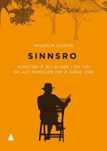 Sinnsro (ebok) av Wilhelm Schmid