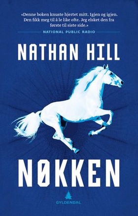 Nøkken (ebok) av Nathan Hill