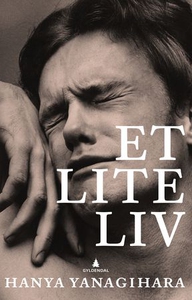 Et lite liv (ebok) av Hanya Yanagihara