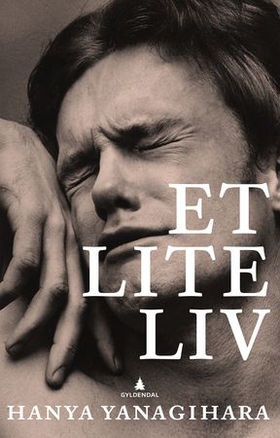 Et lite liv - roman (ebok) av Hanya Yanagihara