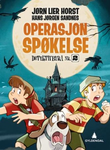 Operasjon Spøkelse (ebok) av Jørn Lier Horst
