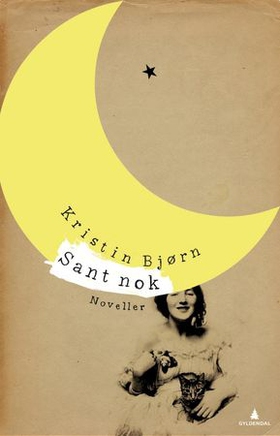 Sant nok - noveller (ebok) av Kristin Bjørn