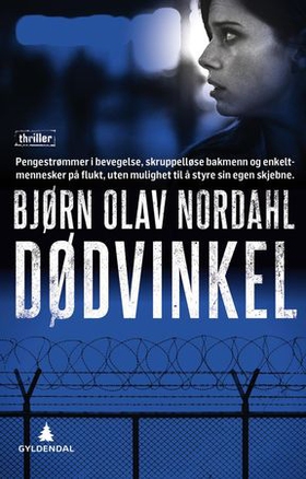 Dødvinkel - thriller (ebok) av Bjørn Olav Nordahl