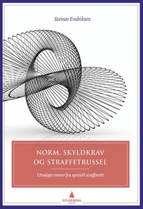 Norm, skyldkrav og straffetrussel (ebok) av S