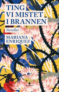 Ting vi mistet i brannen (ebok) av Mariana En