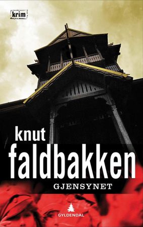 Gjensynet - en kriminalroman (ebok) av Knut Faldbakken