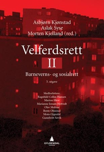 Velferdsrett II (ebok) av