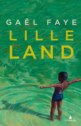 Lille land - roman (ebok) av Gaël Faye