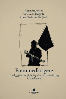 Fremmedkrigere - forebygging, straffeforfølgning og rehabilitering i Skandinavia (ebok) av -