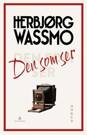 Den som ser (ebok) av Herbjørg Wassmo