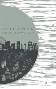 Bruddlinjer (ebok) av Heidi Sævareid