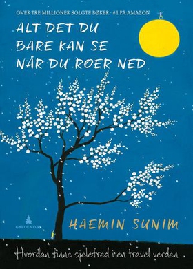 Alt det du bare kan se når du roer ned - hvordan finne sjelefred i en travel verden (ebok) av Haemin Sunim