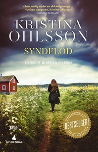 Syndflod (ebok) av Kristina Ohlsson
