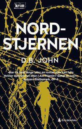 Nordstjernen (ebok) av D.B. John