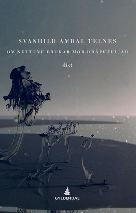 Om nettene brukar mor dråpeteljar - dikt (ebok) av Svanhild Amdal Telnes