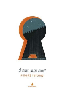 Så lenge ingen ser oss (ebok) av Anders Totla