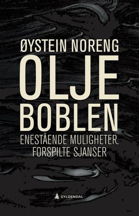Oljeboblen - enestående muligheter, forspilte sjanser (ebok) av Øystein Noreng