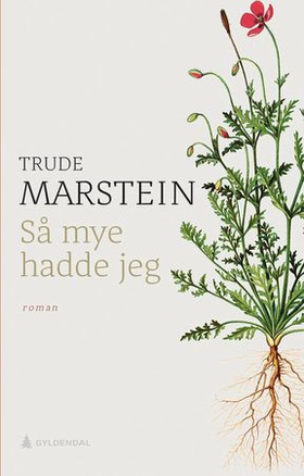 Så mye hadde jeg - roman (ebok) av Trude Marstein