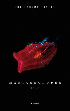 Marianegropen - essay (ebok) av Ida Lødemel Tvedt