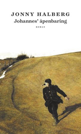 Johannes' åpenbaring - roman (ebok) av Jonny Halberg