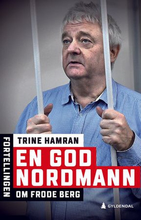 En god nordmann (ebok) av Trine Hamran
