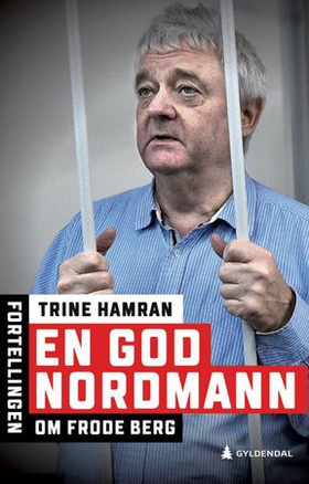 En god nordmann - fortellingen om Frode Berg (ebok) av Trine Hamran