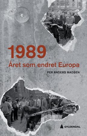 1989 - året som endret Europa (ebok) av Per Anders Madsen