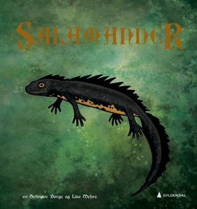 Salamander (ebok) av Synnøve Borge