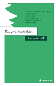Rådgiverkontrakter i et nøtteskall (ebok) av