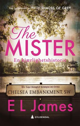 The mister (ebok) av E.L. James
