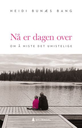 Nå er dagen over - om å miste det umistelige (ebok) av Heidi Bunæs Bang